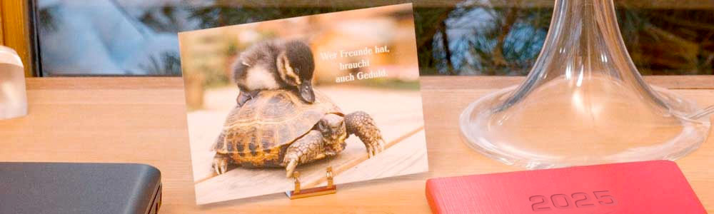 schildkroete header termin 2025
